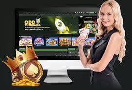 n55 bet